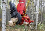 S23 Felling, Processing & Logging Head