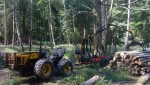 JMS900 Forestry trailer & crane (sold)